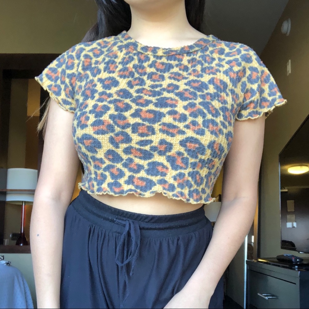 Leopard print crop top from UO